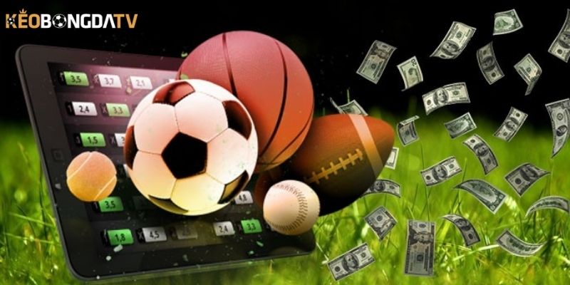 Hướng dẫn đọc kèo EU nhanh chóng