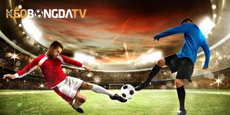 Mẹo tránh mắc kèo tuồng