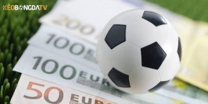 Lý do bạn nên chơi cá độ online tại các nhà cái