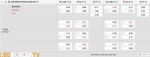 Tỷ lệ kèo trận đấu giữa Brentford vs Arsenal