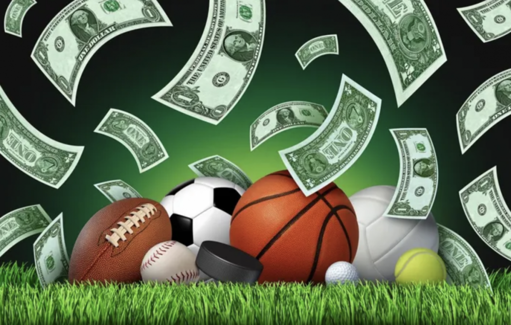 Cam kết minh bạch của đội ngũ kiểm định